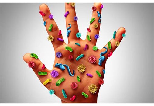 The foci of human papillomavirus are located on the hands